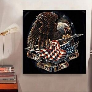 USA  Bald  Diamond Painting Kits Art Set 30 X 30cm These Colors Don’t Run!